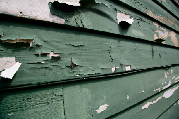 Best Foreclosure Cleanout  in Stagecoach, NV